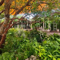 Baan beaver cafe บ้านบีเวอร์คาเฟ่ ดอนเมือง