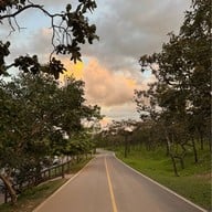 อุทยานแห่งชาติป่าหินงาม (ทุ่งดอกกระเจียว)