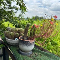 บรรยากาศ Wara House