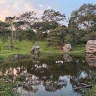 อุทยานแห่งชาติป่าหินงาม (ทุ่งดอกกระเจียว)