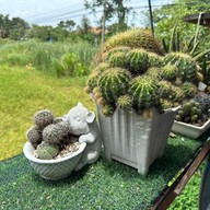 บรรยากาศ Wara House