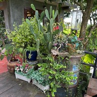 บรรยากาศ Wara House