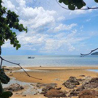 บรรยากาศ แม่ไม้ซีฟู้ด