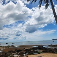 บรรยากาศ แม่ไม้ซีฟู้ด