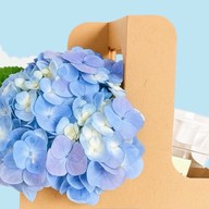 MUICE' (มูส) อะโวคาโด ผลไม้ปั่น กรีกโยเกิร์ต สุขสวัสดิ์27