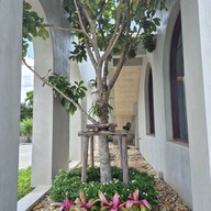 บรรยากาศ homerun homerun