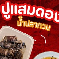 ปูแสมดองน้ำปลากวน ปูแสมดองน้ำปลากวนปากน้ำ