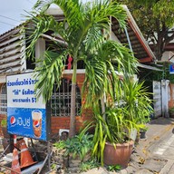 ก๋วยเตี๋ยวไก่ร้านนก By โก้-ธีรศักดิ์
