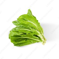 เพียรกล้าค้าผักสาขา3