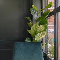 Stoneinroom.matcha is good Stoneinroom