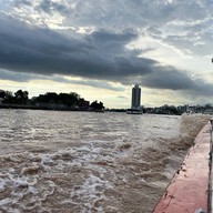 ท่าเรือราชวงศ์