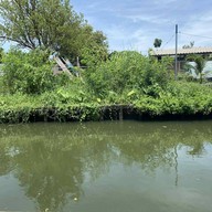 ก๋วยเตี๋ยวไก่บุฟเฟ่ต์