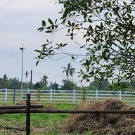 Tolopoti Hotel Resort