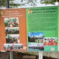 วัดติโลกอาราม กลางกว๊านพะเยา