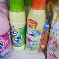 บ้าน พา-นัด