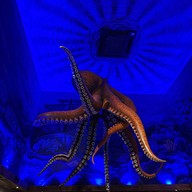 Nithan Coffee's Tale พระตำหนัก