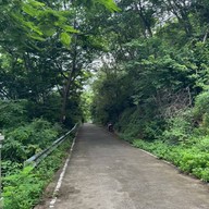 วัดวรนาถบรรพต (เขากบ)