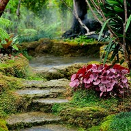 บรรยากาศ Chom cafe and restaurant Huahin  หัวหิน