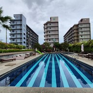 Mangrove Hotel Pattaya