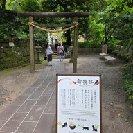 บรรยากาศ Neko Shrine 猫神社