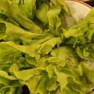 Shizen Shabu Future Park