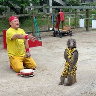 Dazaifu Tenmangu Shrine