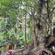 วัดศิริ​สุทโธ​