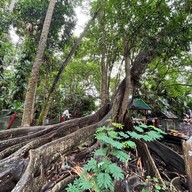 วัดศิริ​สุทโธ​