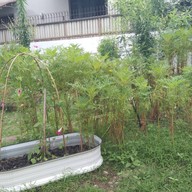 บรรยากาศ Wonders Roasters พระราม 9 เสรี 9