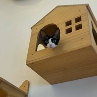 Zucca - The Pet Sanctuary & Cafe Zucca Cafe