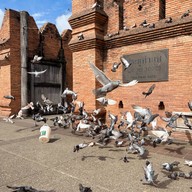 ประตูท่าแพ