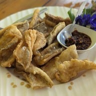 เมนูของร้าน ครัวแกงป่า