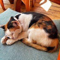 บ้านธารชีวี