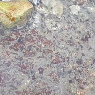 หาดลับพัทยา