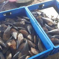 หาดลับพัทยา