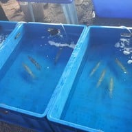 หาดลับพัทยา