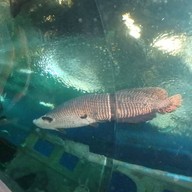 บรรยากาศ Underwater World