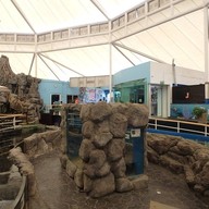 บรรยากาศ Underwater World