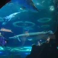 บรรยากาศ Underwater World