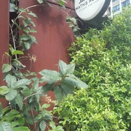 หน้าร้าน MATHS HOUSE