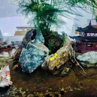 Shade Coffee Roasters บางแสน