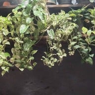 บรรยากาศ MATHS HOUSE