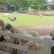 The Scenery Vintage Farm