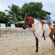 สยามบีชรีสอร์ท