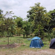 แซ่บในสวน