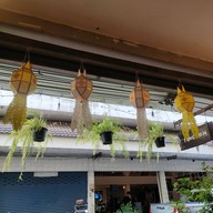 ตองอ่อน ข้าวซอย ร้อยเอ็ด Tongon Khaosoi roied