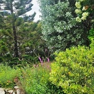 บรรยากาศ Café et Noús Ramkhamhaeng 118