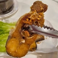 โอ๊บ โอ๊บ (กบทอดท่ามะกา)