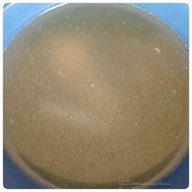 หยี่บัวทองเฮง บางกรวย