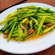 นางนวลพัทยา